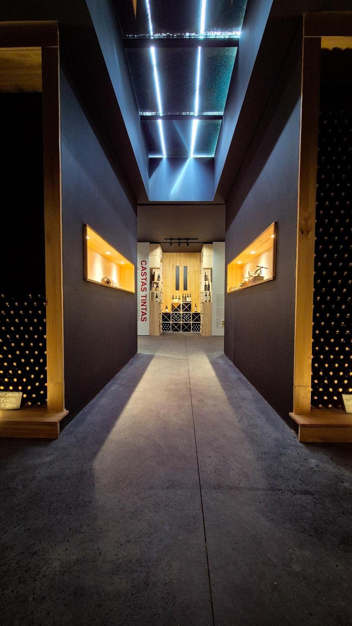 皮尼昂Dois Lagares House住宿加早餐旅馆 外观 照片